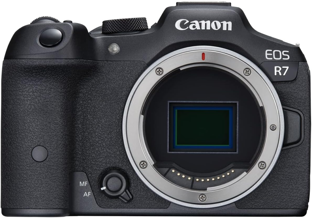 Best Mirrorless Camera Overall