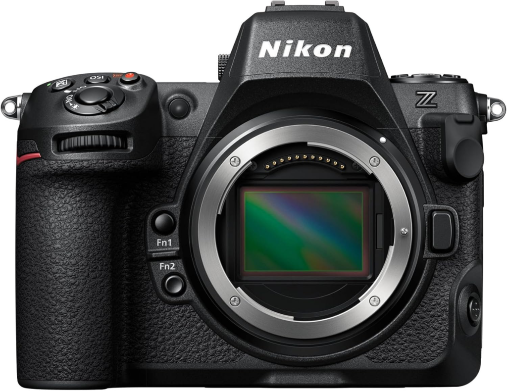  Best Pro Hybrid Mirrorless Camera