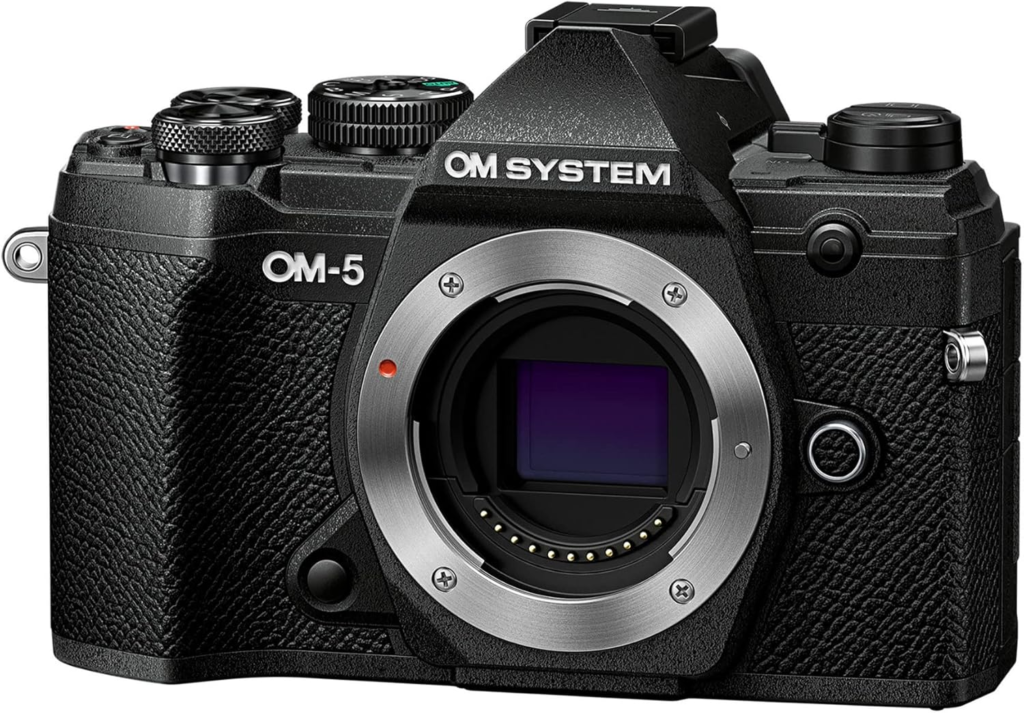 Best Travel Camera Overall