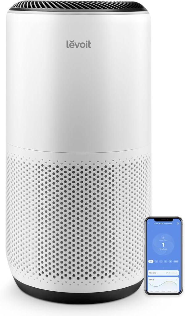 Best Air Purifier Overall
