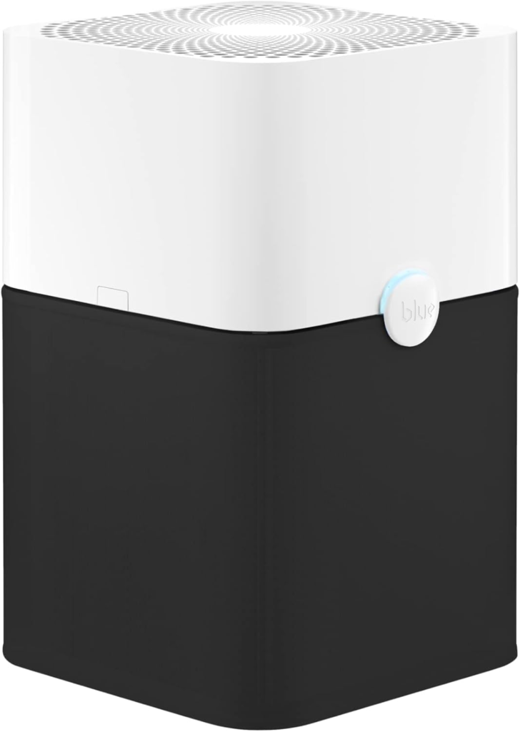 Best Air Purifier for Large Rooms