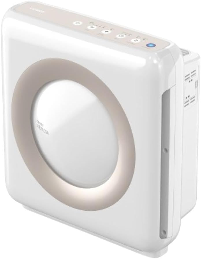 Best Air Purifier for Saving Energy