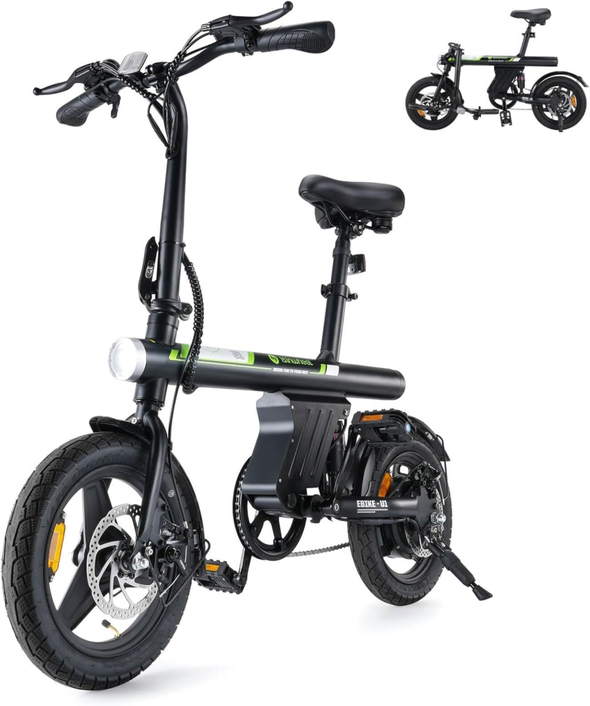 Best Electric Bike for Variable Ride