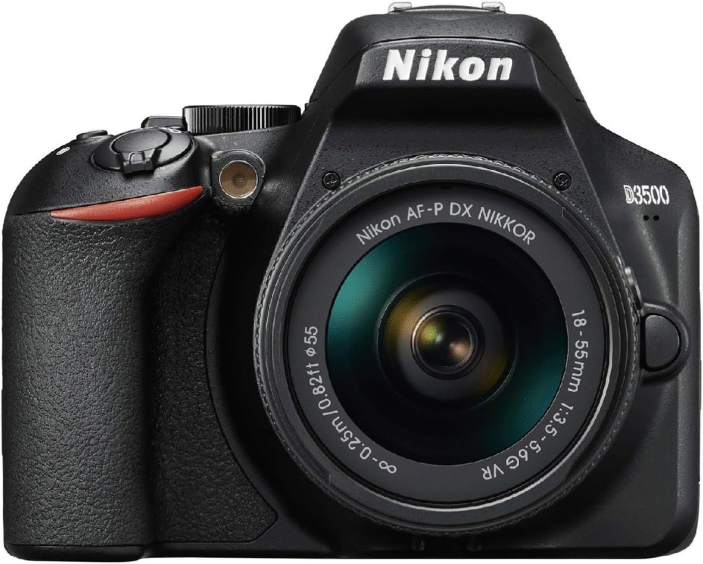 Best Nikon Camera for Beginners