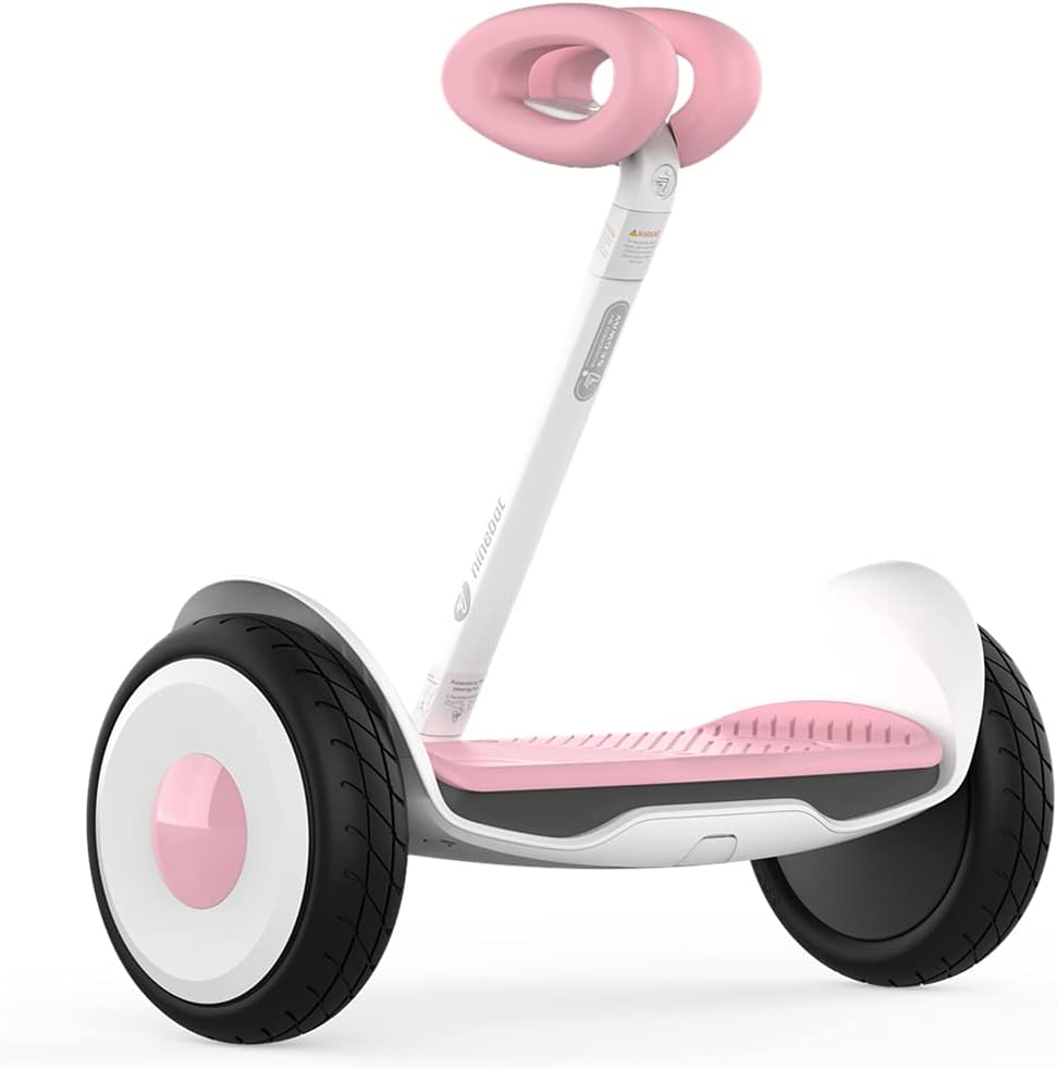 Best Hoverboard for Adults