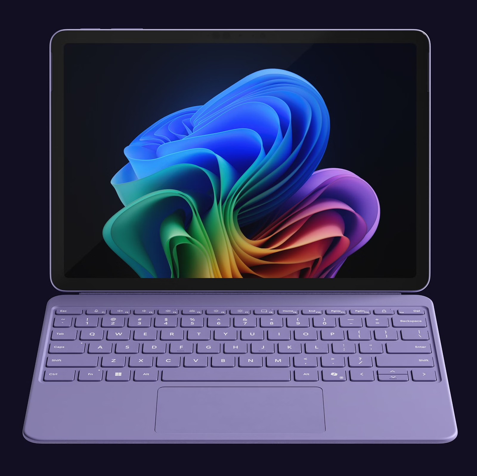 Display & Screen Quality