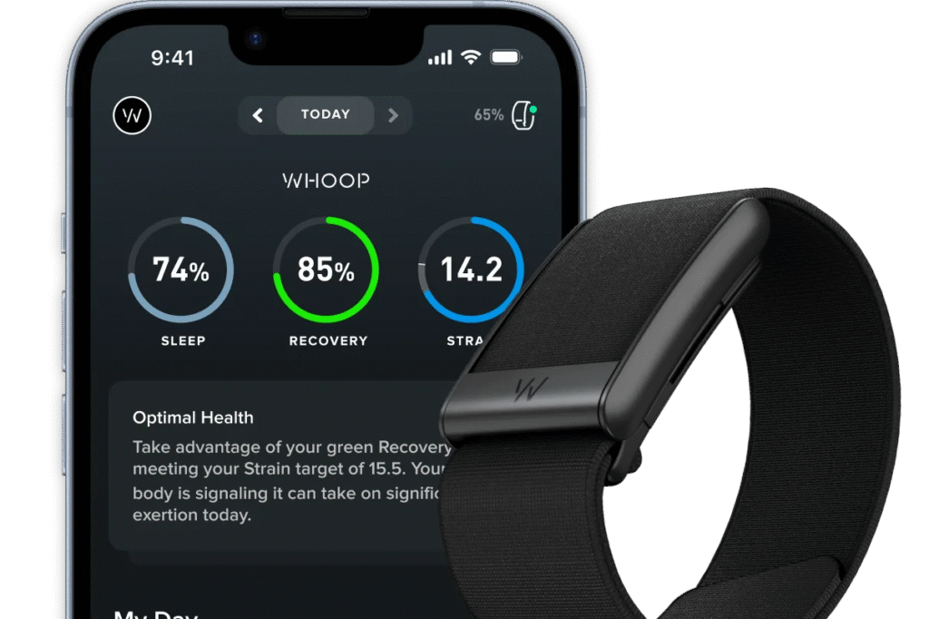 Performance & Software Experience