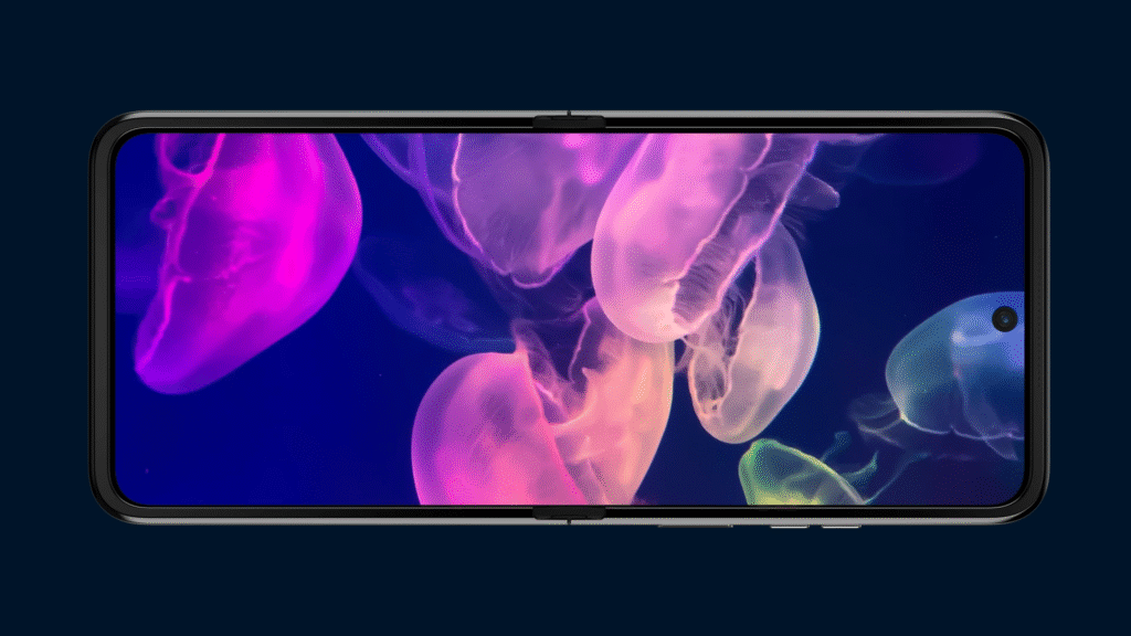 Display & Screen Quality