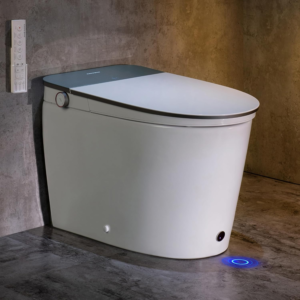 Casta Diva - Best Non-Electric Smart Toilet