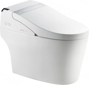 Woodbridge B0960S - Best Value Smart Toilet