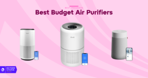 The 7 Best Budget Air Purifiers for 2026, Tested and Reviewed