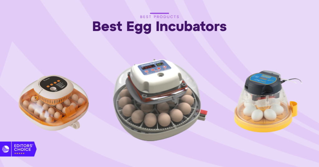 The 7 Best Egg Incubators for 2026, Tested and Reviewed