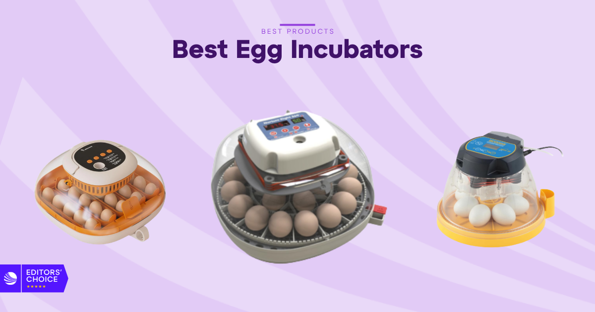 The 7 Best Egg Incubators for 2026, Tested and Reviewed