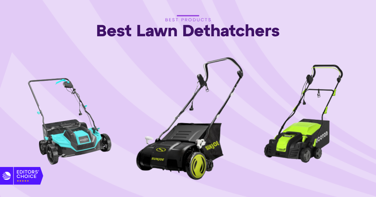 The 7 Best Lawn Dethatchers for 2026, Tested and Reviewed