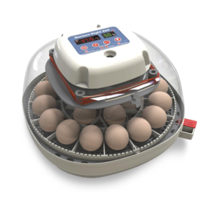 Manna Pro Nurture Right 360 Incubator - Best Egg Incubator Overall