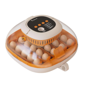 Chickcozy Incubator - Best Value Egg Incubator