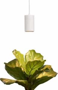 Soltech Solutions Aspect Grow Light - Best Premium Grow Light