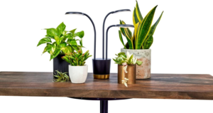 AeroGarden Trio Grow Light - Best Grow Light for Houseplants