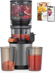 AMZCHEF Slow Masticating Juicer - Best Value Cold Press Juicer