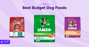 The 7 Best Budget Dog Foods for 2026, Tested and Reviewed