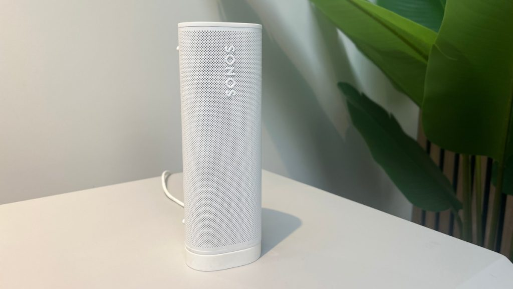 Sonos Play vs Sonos Roam 2 Connectivity & Controls