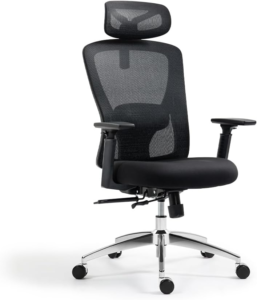 Boulies EP200 - Best Budget Comfort Ergonomic Chair