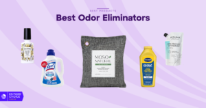 The 8 Best Odor Eliminators for 2026, Tested and Reviewed