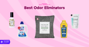 The 8 Best Odor Eliminators for 2026, Tested and Reviewed