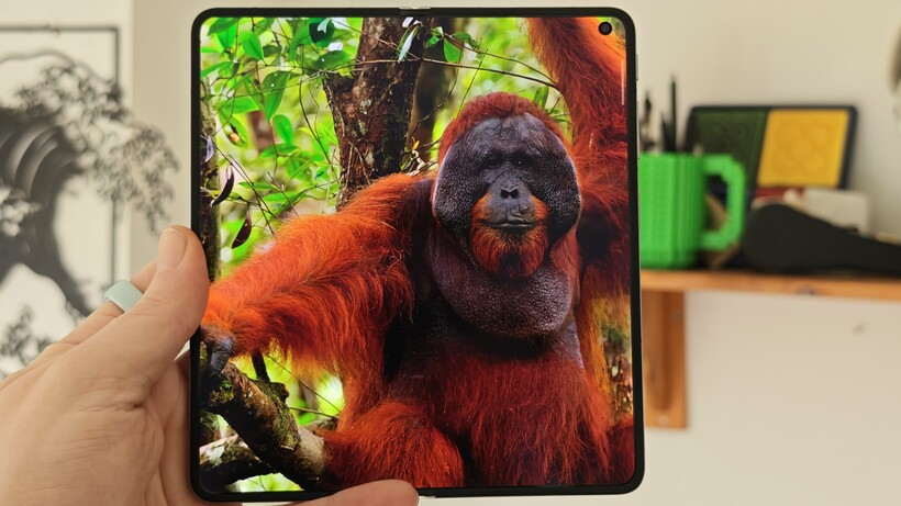 OPPO Find N6  Display Quality