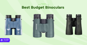 The 7 Best Budget Binoculars for 2026, Tested and Reviewed